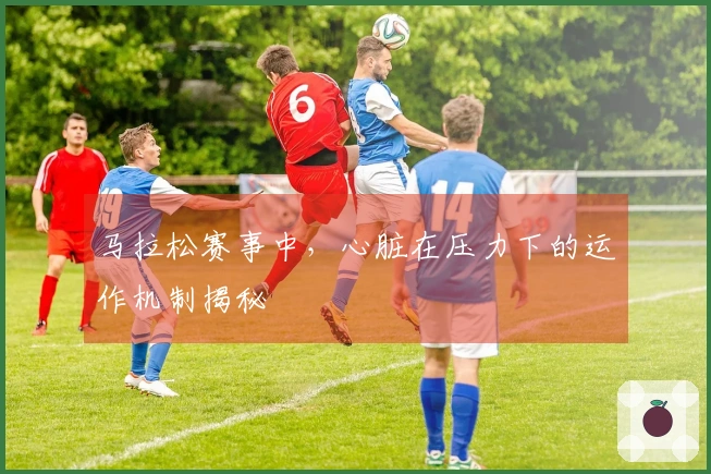 马拉松赛事中，心脏在压力下的运作机制揭秘