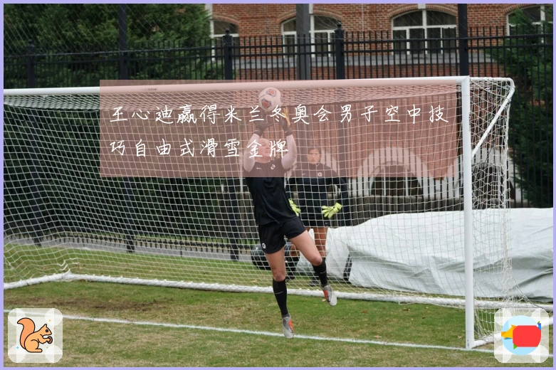 王心迪赢得米兰冬奥会男子空中技巧自由式滑雪金牌