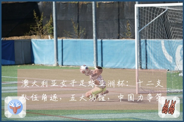 澳大利亚女子足球亚洲杯：十二支队伍角逐，五大场馆，中国力争第十冠