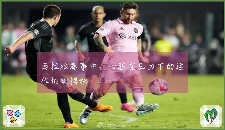 马拉松赛事中，心脏在压力下的运作机制揭秘