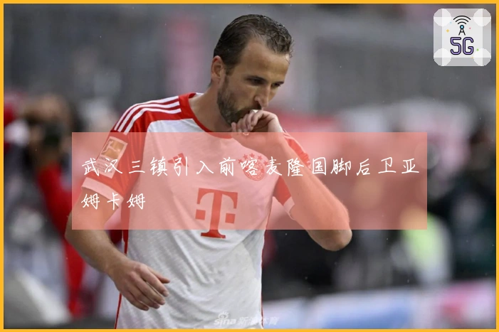 武汉三镇引入前喀麦隆国脚后卫亚姆卡姆